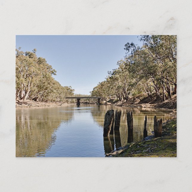 Postal Postcards (Anverso)