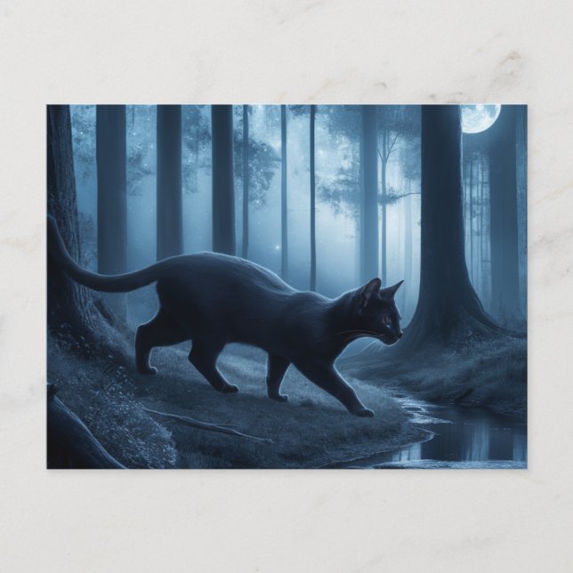 Postal Postcards  Cat  Série 11 10 (Anverso)