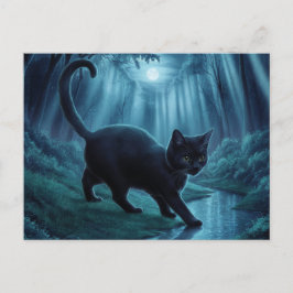 Postal Postcards  Cat  Série 11 11