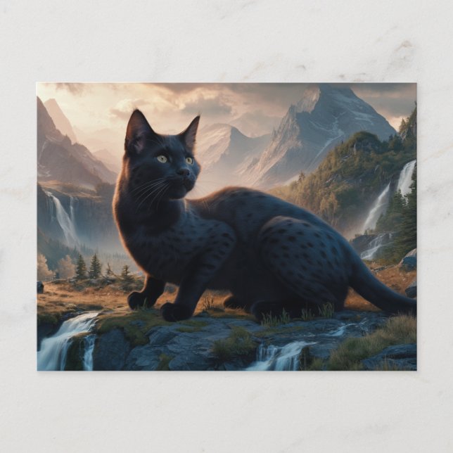 Postal Postcards  Cat  Série 11 15 (Anverso)