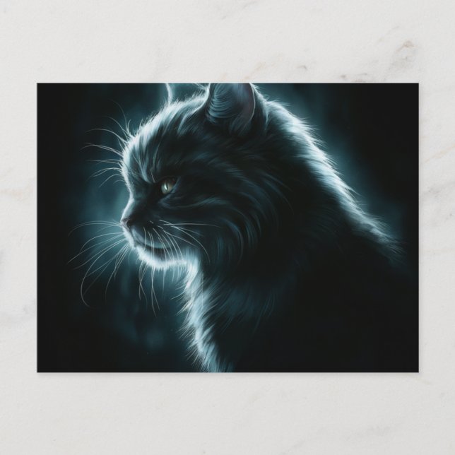 Postal Postcards Cat Série 12 (Anverso)