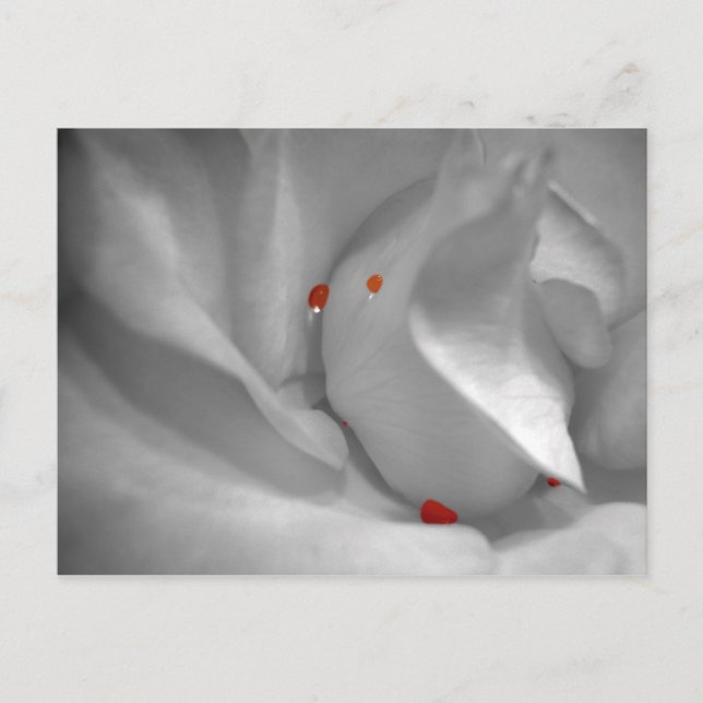 Postal Postcarta acuática eoliana (Anverso)