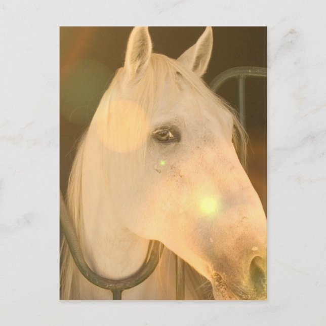 Postal Postcarta andaluza americana (Anverso)