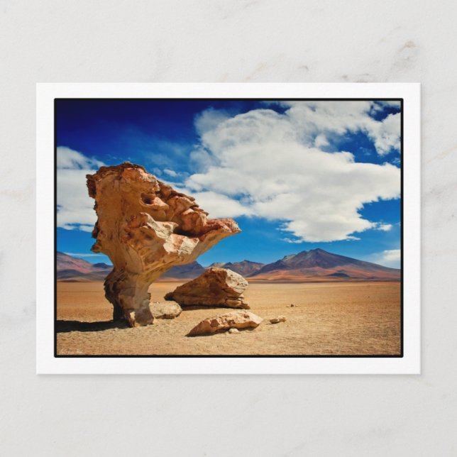 Postal Postcarta Árbol de Piedra (Anverso)