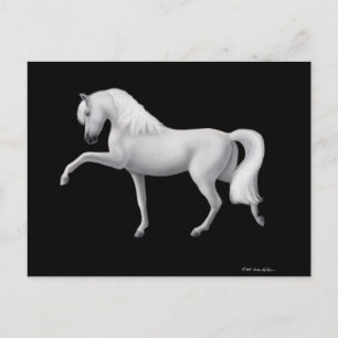 Postal Postcarta blanca andaluza para caballos