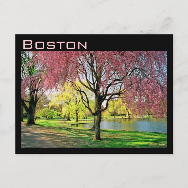 Postal Postcarta común de Boston (Anverso)