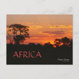 Postal Postcarta de Acacia Sunset Africa