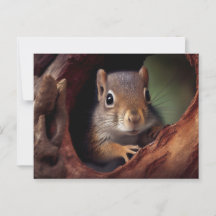 Postcarta de ardilla
