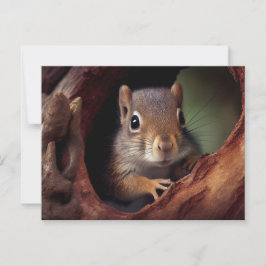 Postal Postcarta de ardilla