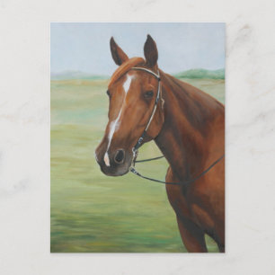 Postal Postcarta de arte animal de barrio para caballos