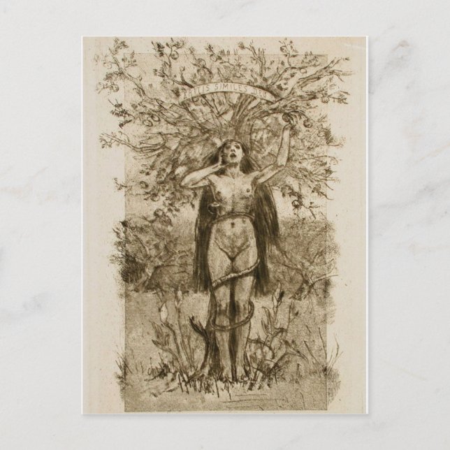 Postal Postcarta de arte clásico (Anverso)