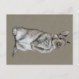 Postal Postcarta de arte de Conejo Conejo Sentado