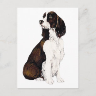 Postal Postcarta de arte de perro en Español de la Spring