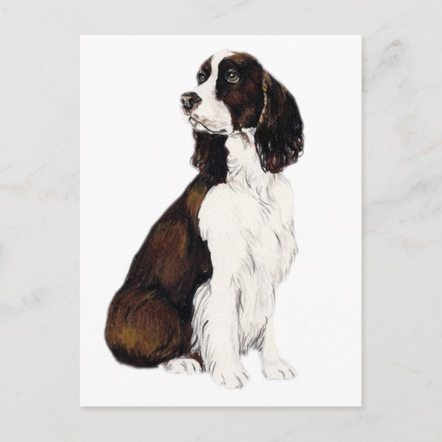 Postal Postcarta de arte de perro en Español de la Spring (Anverso)