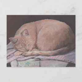 Postal Postcarta de arte gato gatito durmiente