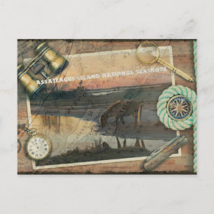 Postal Postcarta de Assateague/Chincoteague