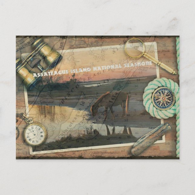 Postal Postcarta de Assateague/Chincoteague (Anverso)