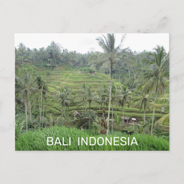 Postal Postcarta de Bali Indonesia (Anverso)