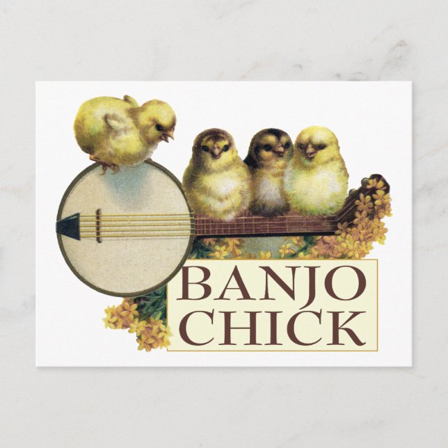 Postal Postcarta de Banjo Chick (Anverso)