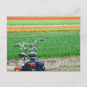 Postal Postcarta de bicicletas de tulipano de primavera