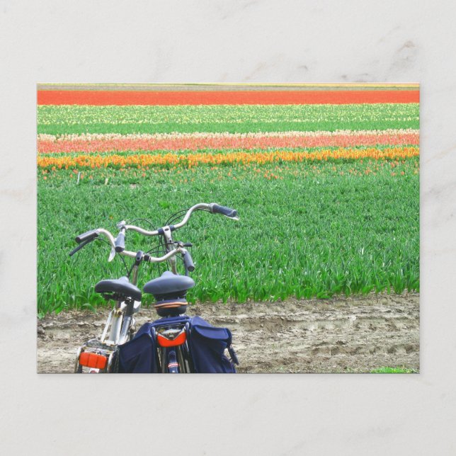 Postal Postcarta de bicicletas de tulipano de primavera (Anverso)