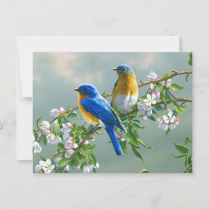 Postal Postcarta de Bluebirds