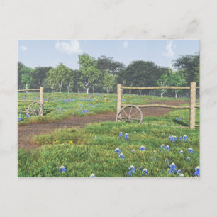Postal Postcarta de Bluebonnets