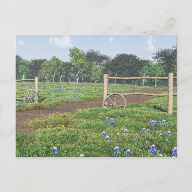 Postal Postcarta de Bluebonnets (Anverso)