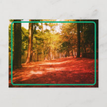 Postcarta de bosque de época