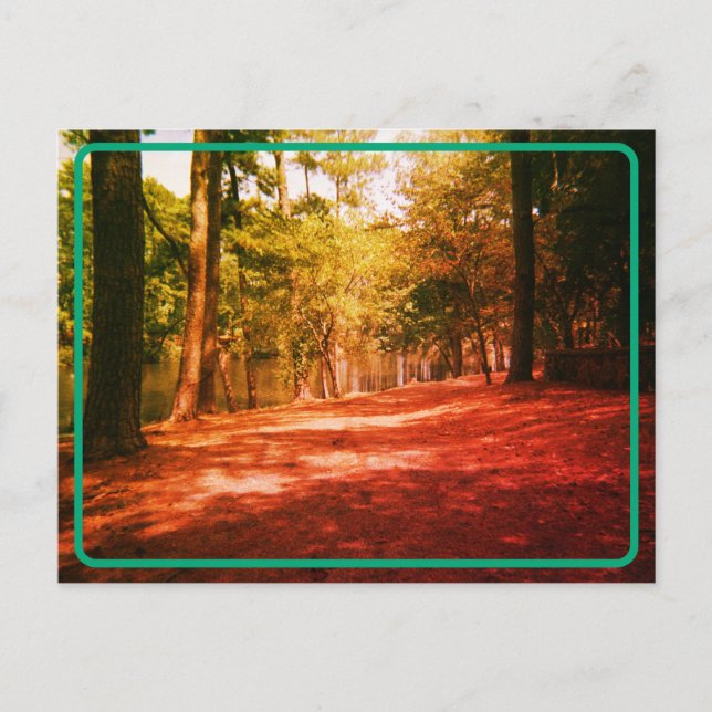 Postal Postcarta de bosque de época (Anverso)