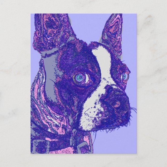 Postal Postcarta de Boston Terrier (Anverso)