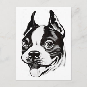 Postal Postcarta de Boston Terrier