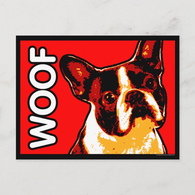 Postal Postcarta de Boston Terrier (Anverso)