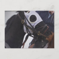 Postcarta de caballo de carrera