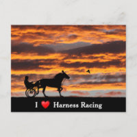 Postcarta de caballo de carreras estándar