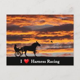 Postal Postcarta de caballo de carreras estándar