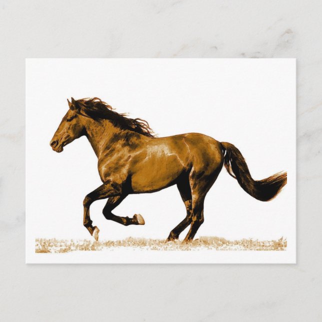Postal Postcarta de caballo en ejecución (Anverso)