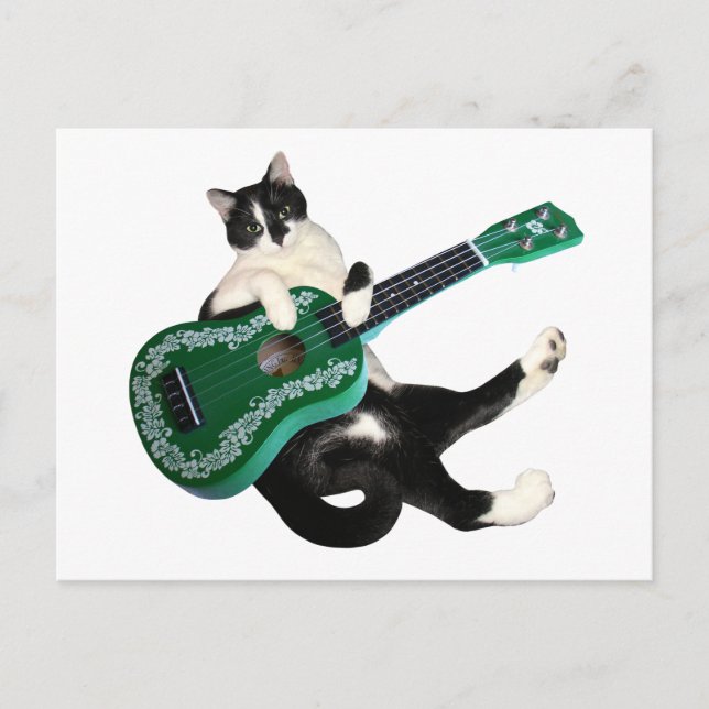 Postal Postcarta de Cat Ukulele (Anverso)