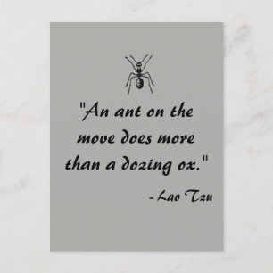 Postal Postcarta de citas de Ant de Lao Tzu