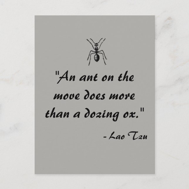 Postal Postcarta de citas de Ant de Lao Tzu (Anverso)