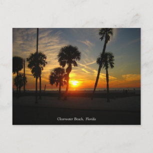 Postal Postcarta de Clearwater Beach Sunset