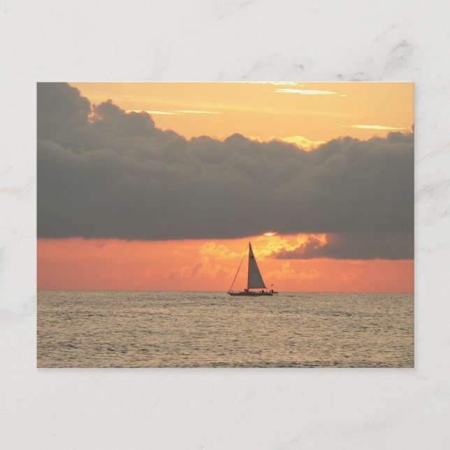 Postal Postcarta de Clearwater Beach Sunset (Anverso)