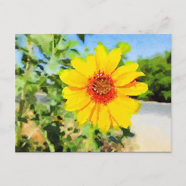 Postal Postcarta de color de agua girasol (Anverso)