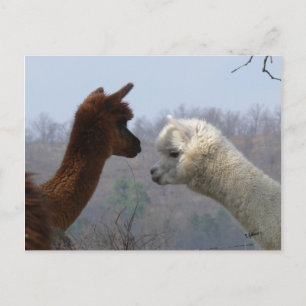 Postal Postcarta de conversación de los Alpes