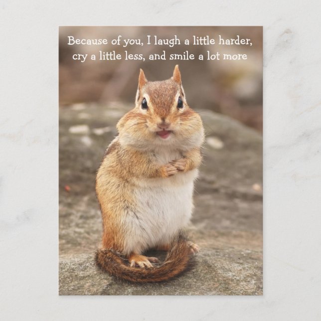 Postal Postcarta de cotización de amistad de Chipmunk (Anverso)
