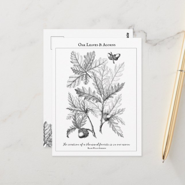 Postal Postcarta de cotización de hojas de roble y Person (Anverso/Reverso In Situ)