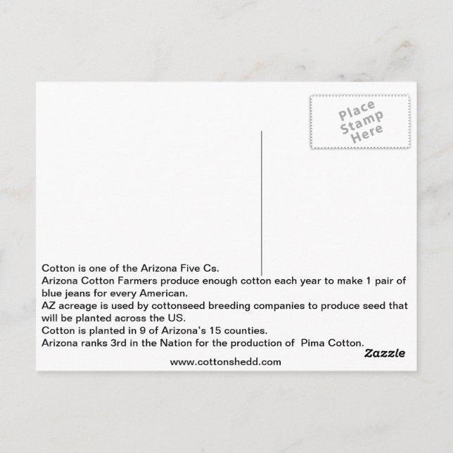 Postal Postcarta de datos sobre el algodón de Arizona de  (Reverso)