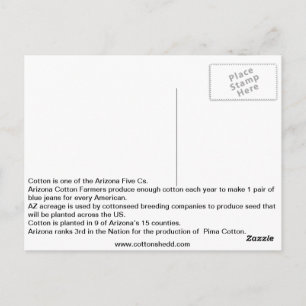 Postal Postcarta de datos sobre el algodón de Arizona de