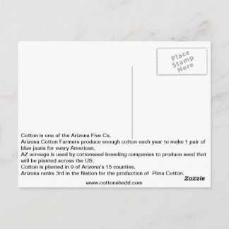 Postal Postcarta de datos sobre el algodón de Arizona de