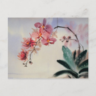 Postal Postcarta de falaenopsis